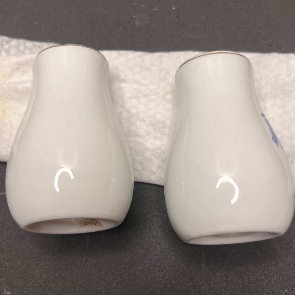 Vintage Alaska State Flower Forget-Me-Not Porcelain Salt & Pepper Shakers - Picture 4 of 10